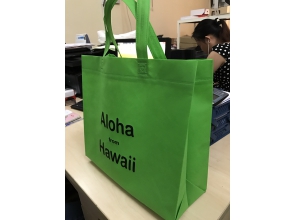 Túi vải không dệt túi hộp mẫu Aloha